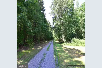 Mount Olive Lane, Amelia Court House, VA 23002 - Photo 10