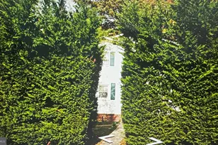 4031 18th St S, Arlington, VA 22204 - Photo 2