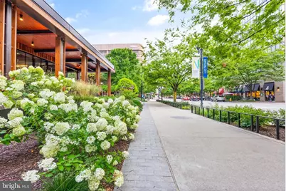 3650 S Glebe Road #1050, Arlington, VA 22202 - Photo 46