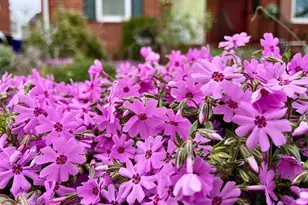 2137 S Pollard St, Arlington, VA 22204 - Photo 8