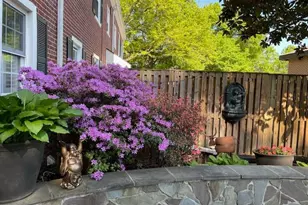 4627 36th St S, Arlington, VA 22206 - Photo 16