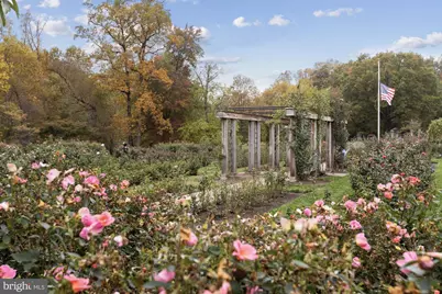 504 N Thomas Street, Arlington, VA 22203 - Photo 42