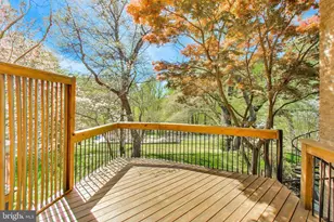 3810 N Richmond St, Arlington, VA 22207 - Photo 8