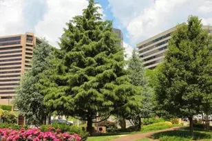 1111 Arlington Blvd, Arlington, VA 22209 - Photo 32