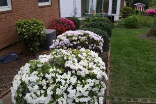 6052 6th St N, Arlington, VA 22203 - Photo 30