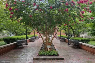 1021 N Garfield St, Arlington, VA 22201 - Photo 22