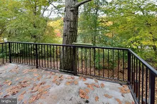 4813 27th Rd S, Arlington, VA 22206 - Photo 20