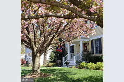 5414 20th Street N, Arlington, VA 22205 - Photo 6