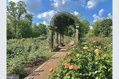 5716 7th Street N, Arlington, VA 22205 - Photo 4