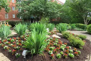 26 Old Glebe Road S, Arlington, VA 22204 - Photo 28