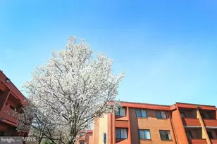 1509 S George Mason Dr, Arlington, VA 22204 - Photo 2