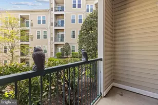 2465 Army Navy Dr, Arlington, VA 22206 - Photo 6