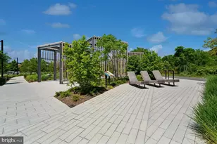 3650 S Glebe Rd, Arlington, VA 22202 - Photo 72