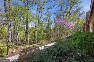 1501 S Edgewood St, Arlington, VA 22204 - Photo 20