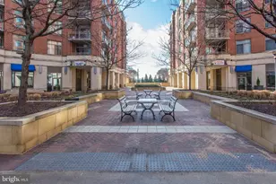 3650 S Glebe Rd, Arlington, VA 22202 - Photo 48