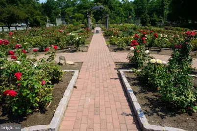 941 Patrick Henry Drive, Arlington, VA 22205 - Photo 40