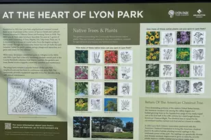 401 N Edgewood St, Arlington, VA 22201 - Photo 22