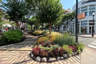 401 N Edgewood St, Arlington, VA 22201 - Photo 14