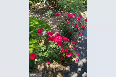 2809 N Underwood Street, Arlington, VA 22213 - Photo 4
