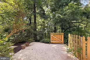 204 N Evergreen St, Arlington, VA 22203 - Photo 50
