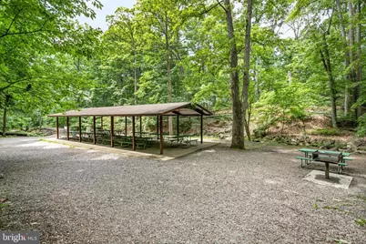 244 N Columbus Street, Arlington, VA 22203 - Photo 32