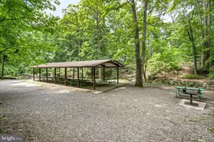 244 N Columbus St, Arlington, VA 22203 - Photo 32