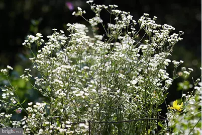 3615 38th Street N, Arlington, VA 22207 - Photo 46