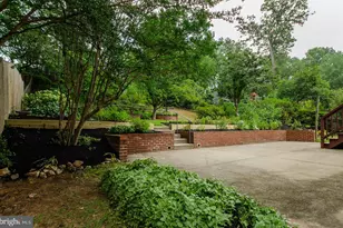 971 N Rochester St, Arlington, VA 22205 - Photo 6