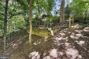204 N Evergreen St, Arlington, VA 22203 - Photo 60