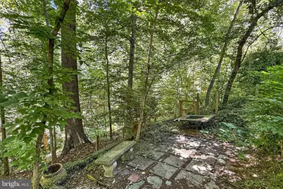 204 N Evergreen Street, Arlington, VA 22203 - Photo 58