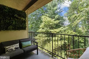 5051 7th Rd S, Arlington, VA 22204 - Photo 4