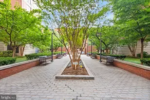 1021 N Garfield St, Arlington, VA 22201 - Photo 48