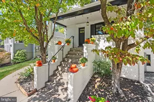 1527 13th Rd S, Arlington, VA 22204 - Photo 54