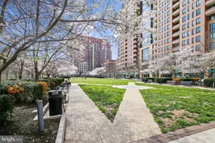 650 15th St S, Arlington, VA 22202 - Photo 26