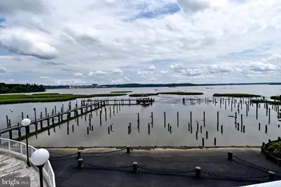 1250 S Washington Street #203, Alexandria, VA 22314 - Photo 10