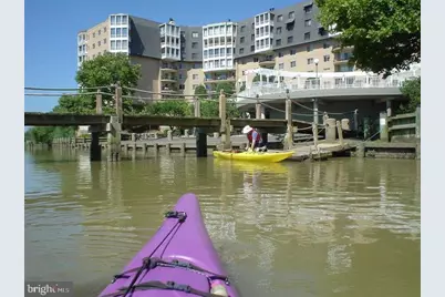 1250 S Washington Street #203, Alexandria, VA 22314 - Photo 22