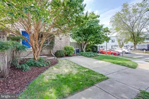 916 Bernard St, Alexandria, VA 22314 - Photo 28