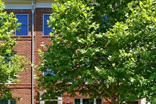 478 Ferdinand Day Dr, Alexandria, VA 22304 - Photo 2