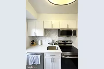 718 S Washington Street #302, Alexandria, VA 22314 - Photo 26