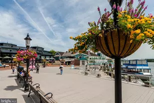 115 N Lee St, Alexandria, VA 22314 - Photo 20