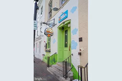 502 S Henry Street, Alexandria, VA 22314 - Photo 50