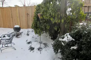 112 Commerce St, Alexandria, VA 22314 - Photo 40