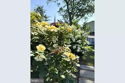 2609 Davis Ave., Alexandria, VA 22302 - Photo 50