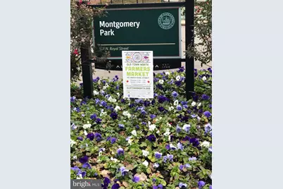 801 N Fairfax Street #421, Alexandria, VA 22314 - Photo 42