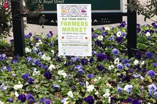 801 N Fairfax St, Alexandria, VA 22314 - Photo 42