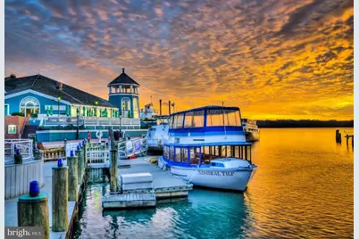 400 Madison Street #505, Alexandria, VA 22314 - Photo 50