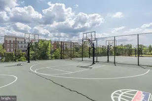 701 Swann Ave, Alexandria, VA 22301 - Photo 54