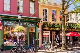 718 Hawkins Way, Alexandria, VA 22314 - Photo 70