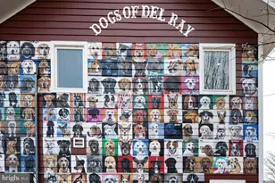 127 E Walnut St, Alexandria, VA 22301 - Photo 80