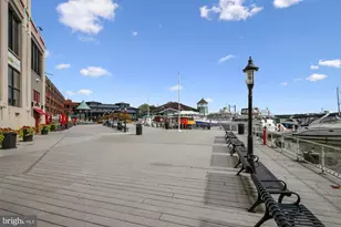 703 Rose Square, Alexandria, VA 22314 - Photo 80